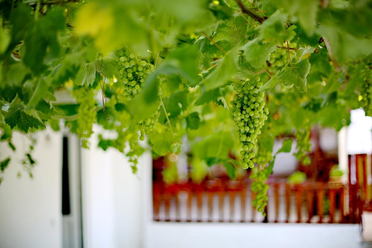 Sulo Pension Patara Exterior foto
